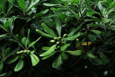 《原子之心》DLC3“深海迷情”现已上线 国区40元